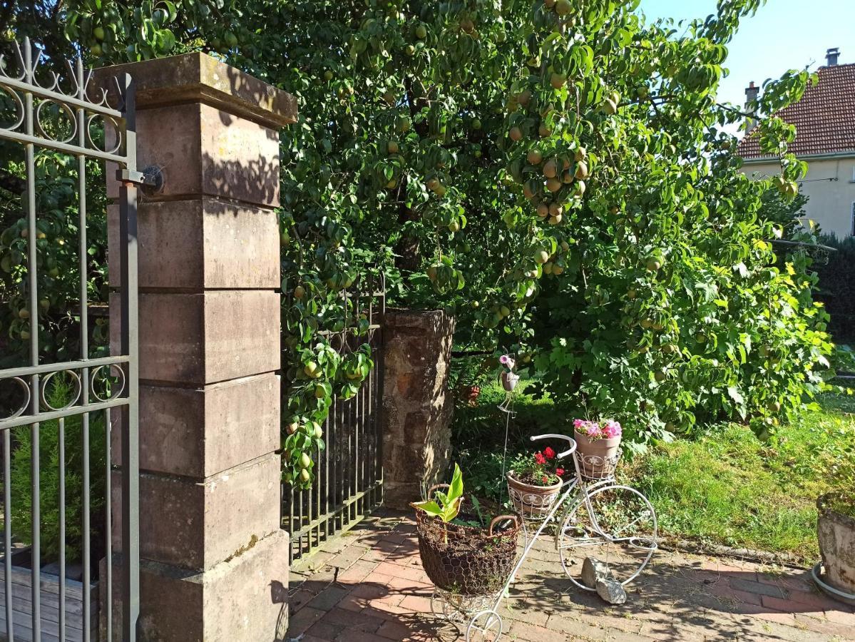 A L'Ancienne Grange - Chambres D'HotesFontaine  エクステリア 写真